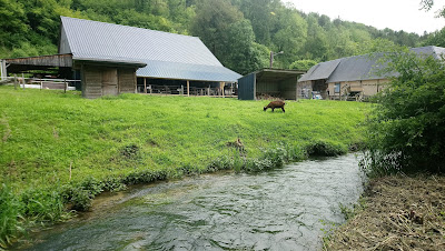 Gîte de la ferme d'Annie à Fontenay-Torcy