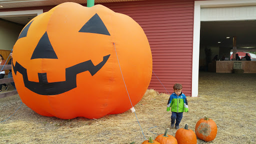 Orchard «Barton Orchards - Noxon Road Store Open Year Round - The Farm is CLOSED for the Season.», reviews and photos, 63 Apple Tree Ln, Poughquag, NY 12570, USA