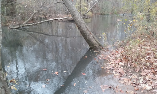 Recreation Center «J.P. Moseley Recreation Center-North Henry Tigers», reviews and photos, 1041 Millers Mill Rd, Stockbridge, GA 30281, USA