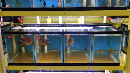 Fish Farm «Aquarium & Garden Inc.», reviews and photos, 1610 S 341st Pl f, Federal Way, WA 98003, USA