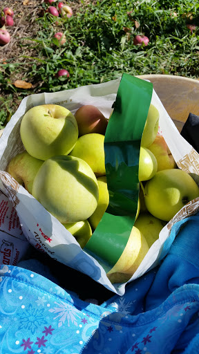 Orchard «Barton Orchards - Noxon Road Store Open Year Round - The Farm is CLOSED for the Season.», reviews and photos, 63 Apple Tree Ln, Poughquag, NY 12570, USA