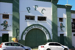 Palmeiras Futebol Clube image