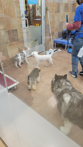 Pet Supply Store «PetSmart», reviews and photos, 5435 W TX-1604 Loop N, San Antonio, TX 78253, USA