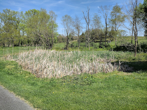 Public Golf Course «Valley View Golf Club», reviews and photos, 4638 US Hwy 220, Moorefield, WV 26836, USA