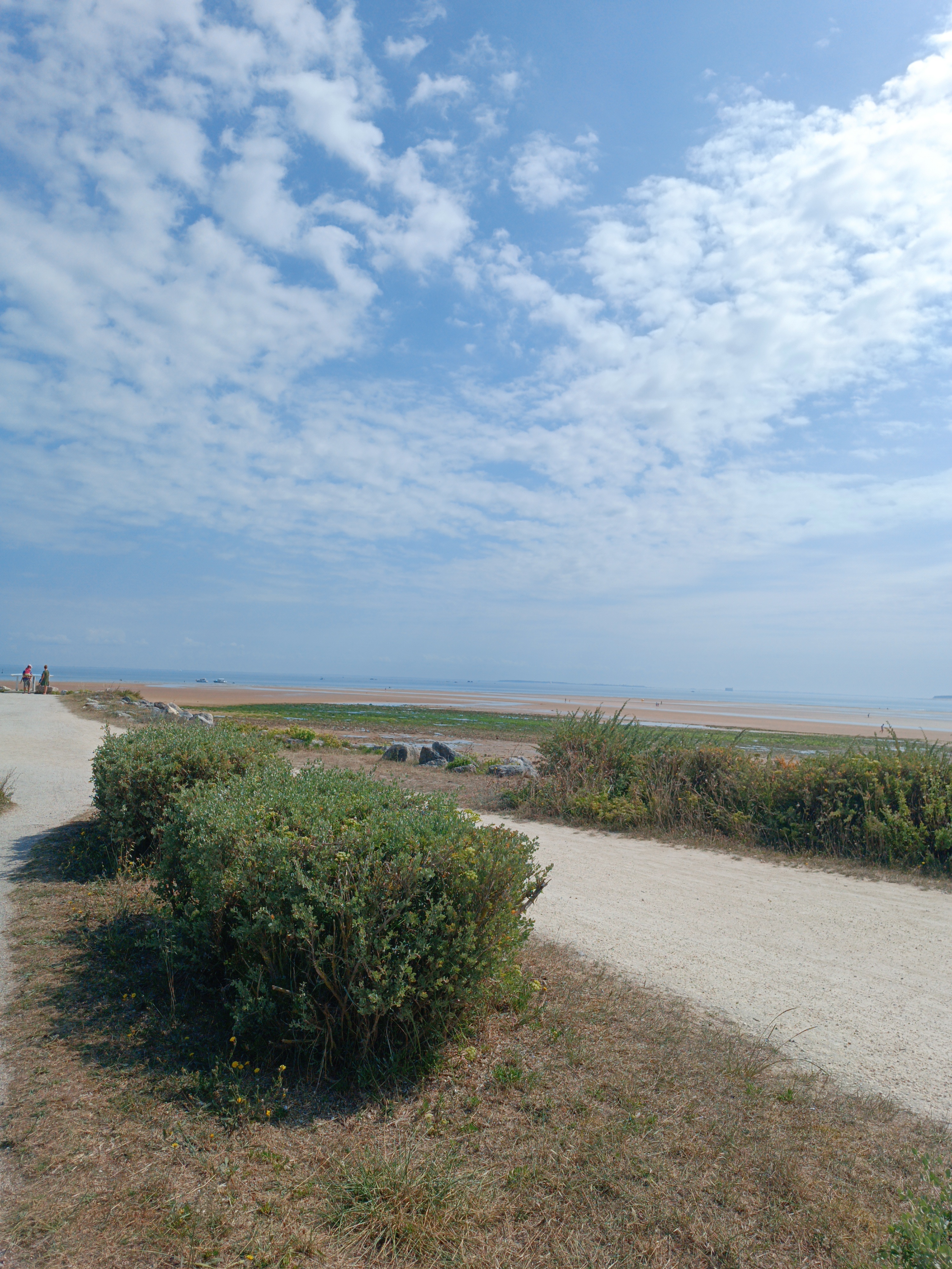 Photo n° 5 de l'avis de Bérénice.' fait le 20/08/2023 à 08:41