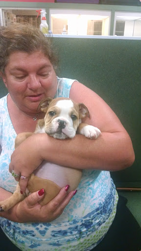 Pet Store «Petland», reviews and photos, 5470 Dixie Hwy, Fairfield, OH 45014, USA