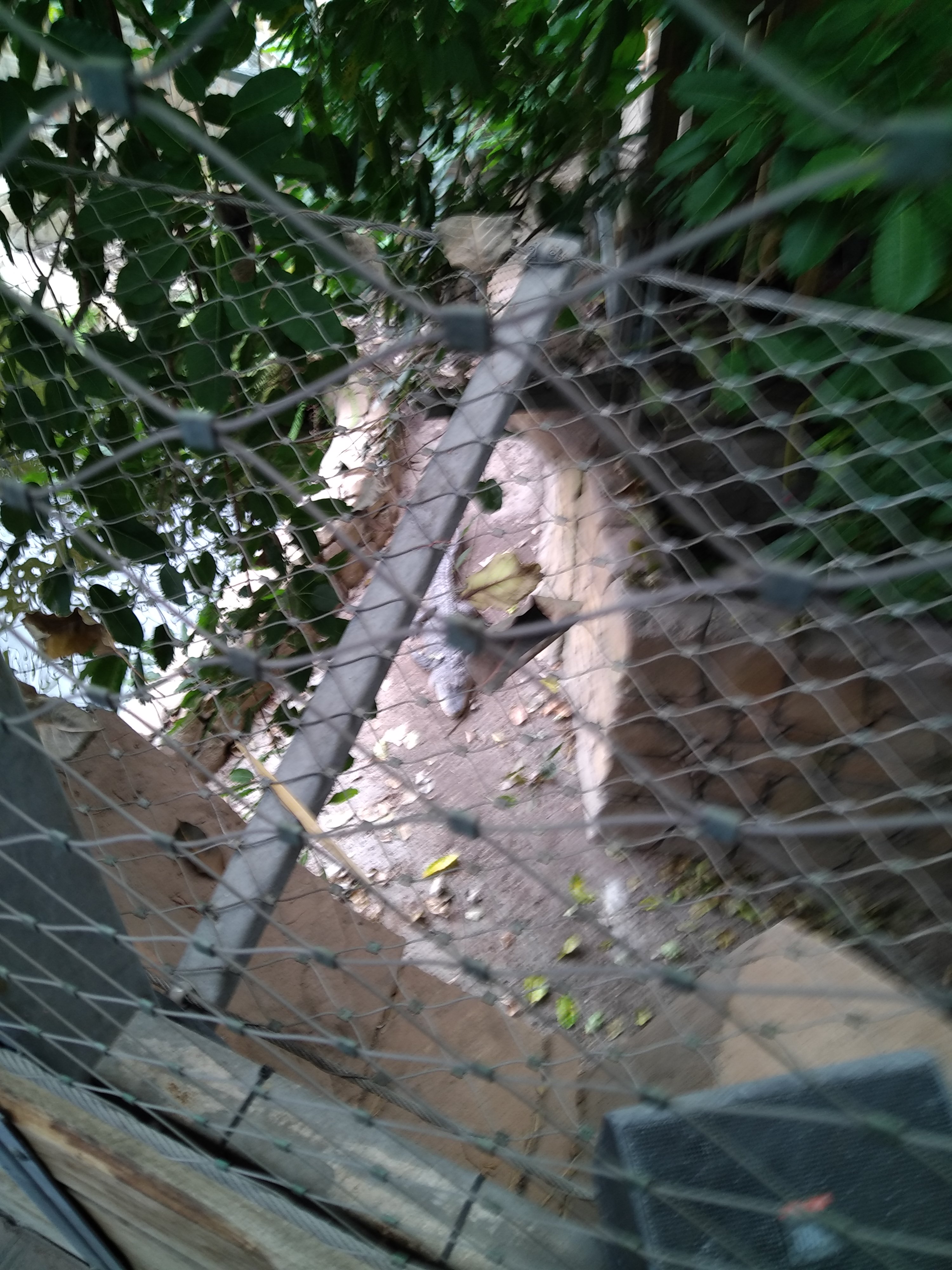 Photo n° 23 de l'avis de Antony.b fait le 16/08/2020 à 13:39
