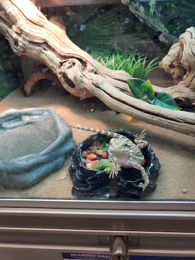 Pet Store «PetSmart», reviews and photos, 10451 Baltimore St NE, Blaine, MN 55449, USA