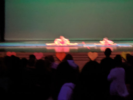 Performing Arts Theater «Princess Theatre», reviews and photos, 112 2nd Ave NE, Decatur, AL 35601, USA