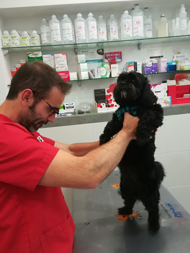 Clínica Veterinaria Puerto Alto