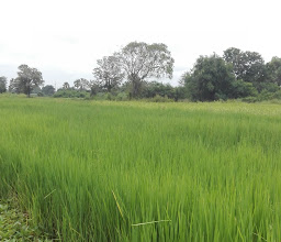 อุดมสาร photo