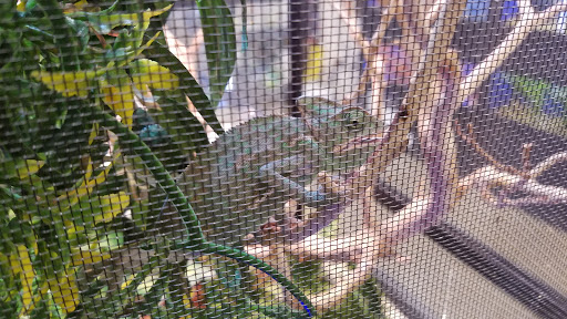 Pet Store «Super Pets», reviews and photos, 1807 E Chapman Ave, Orange, CA 92867, USA