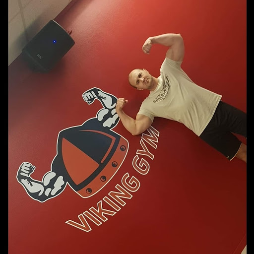 Viking Gym AS