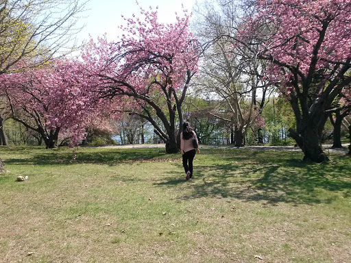 Golf Course «Silver Lake Golf Course», reviews and photos, 915 Victory Blvd, Staten Island, NY 10301, USA