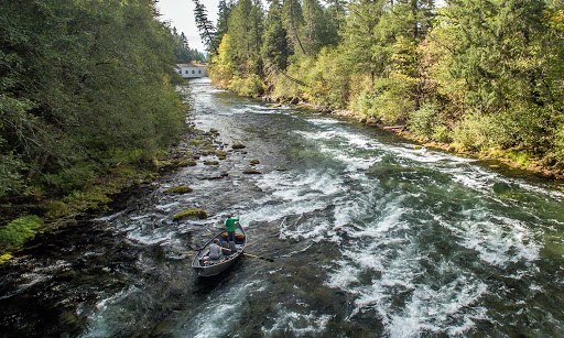 Fishing Store «Caddis Fly Angling Shop», reviews and photos, 168 W 6th Ave, Eugene, OR 97401, USA