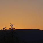 Photo n° 39 de l'avis de Benoît. fait le 07/07/2020 à 23:39 pour Massif du Luberon à Ménerbes