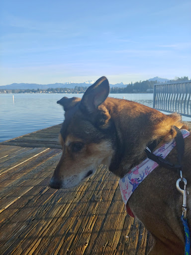 Park «Willard Wyatt Park», reviews and photos, 10508 Chapel Hill Rd, Lake Stevens, WA 98258, USA