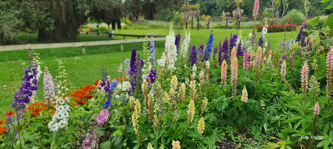 Comments and reviews of Gisborne Botanical Gardens