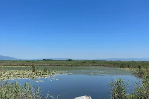 Efteni Gölü image