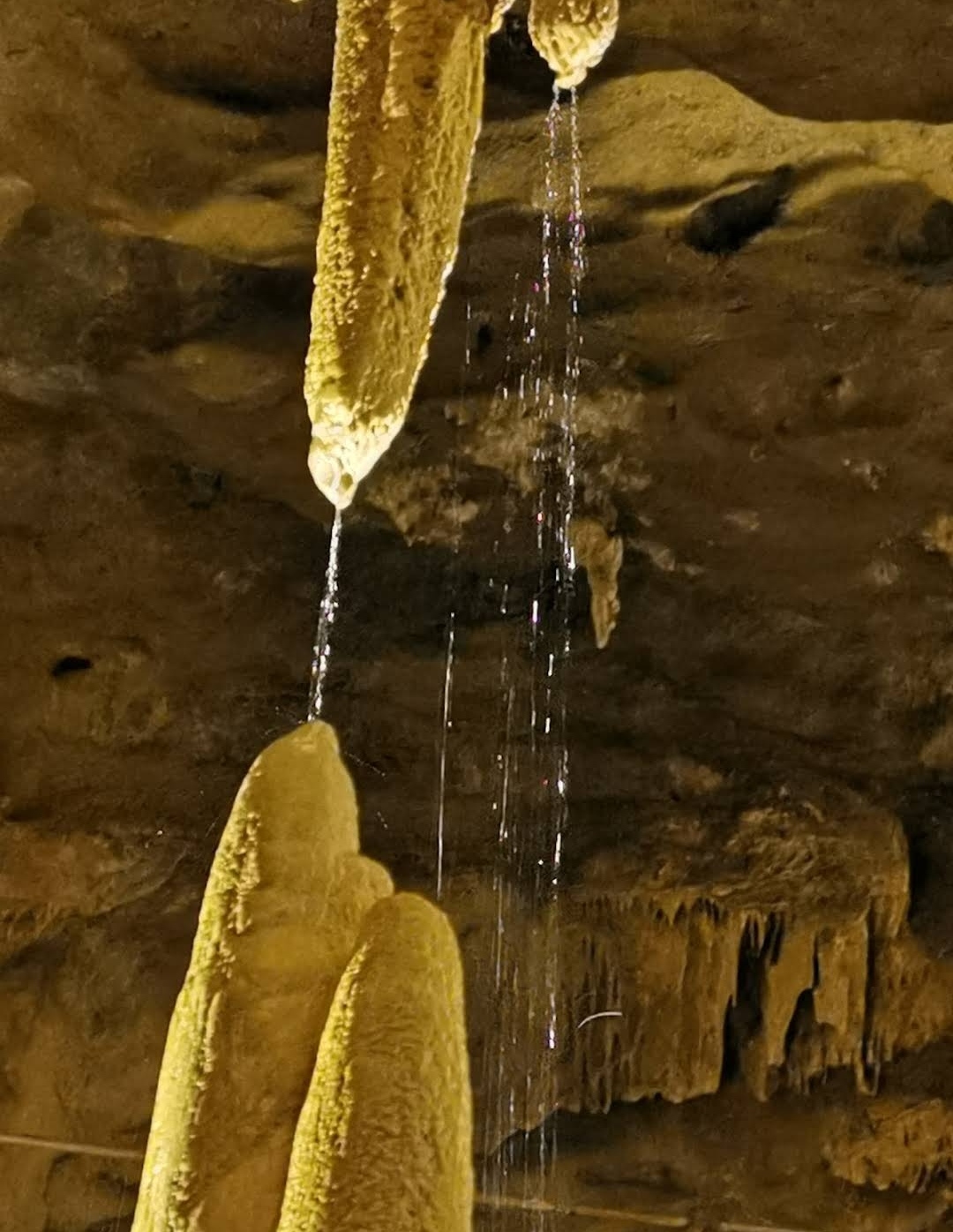 Photo n° 4 de l'avis de Martine.e fait le 07/07/2022 à 13:50