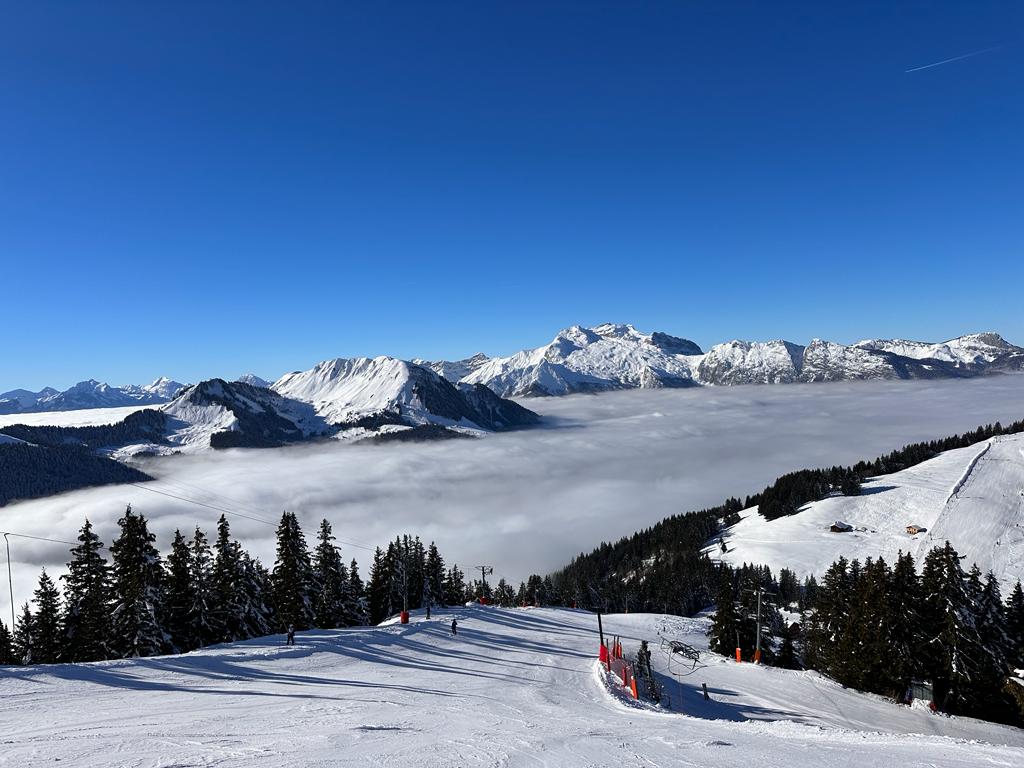 Photo n° 2 de l'avis de Ap.a fait le 15/01/2024 à 19:50