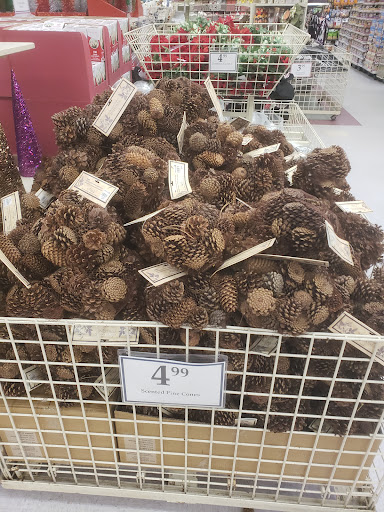 Home Goods Store «Christmas Tree Shops», reviews and photos, 1298 Worcester St, Natick, MA 01760, USA