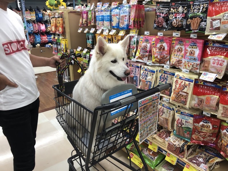 ペットワールド アミーゴ 福島南店