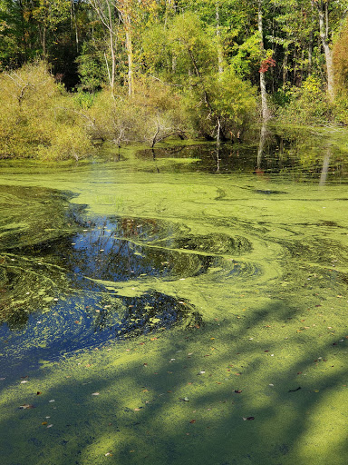 Nature Preserve «Ecosystem Preserve», reviews and photos, 3201 Burton SE, Grand Rapids, MI 49546, USA