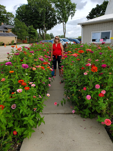 Winery «Belgian Horse Winery», reviews and photos, 7200 W County Rd 625 N, Middletown, IN 47356, USA