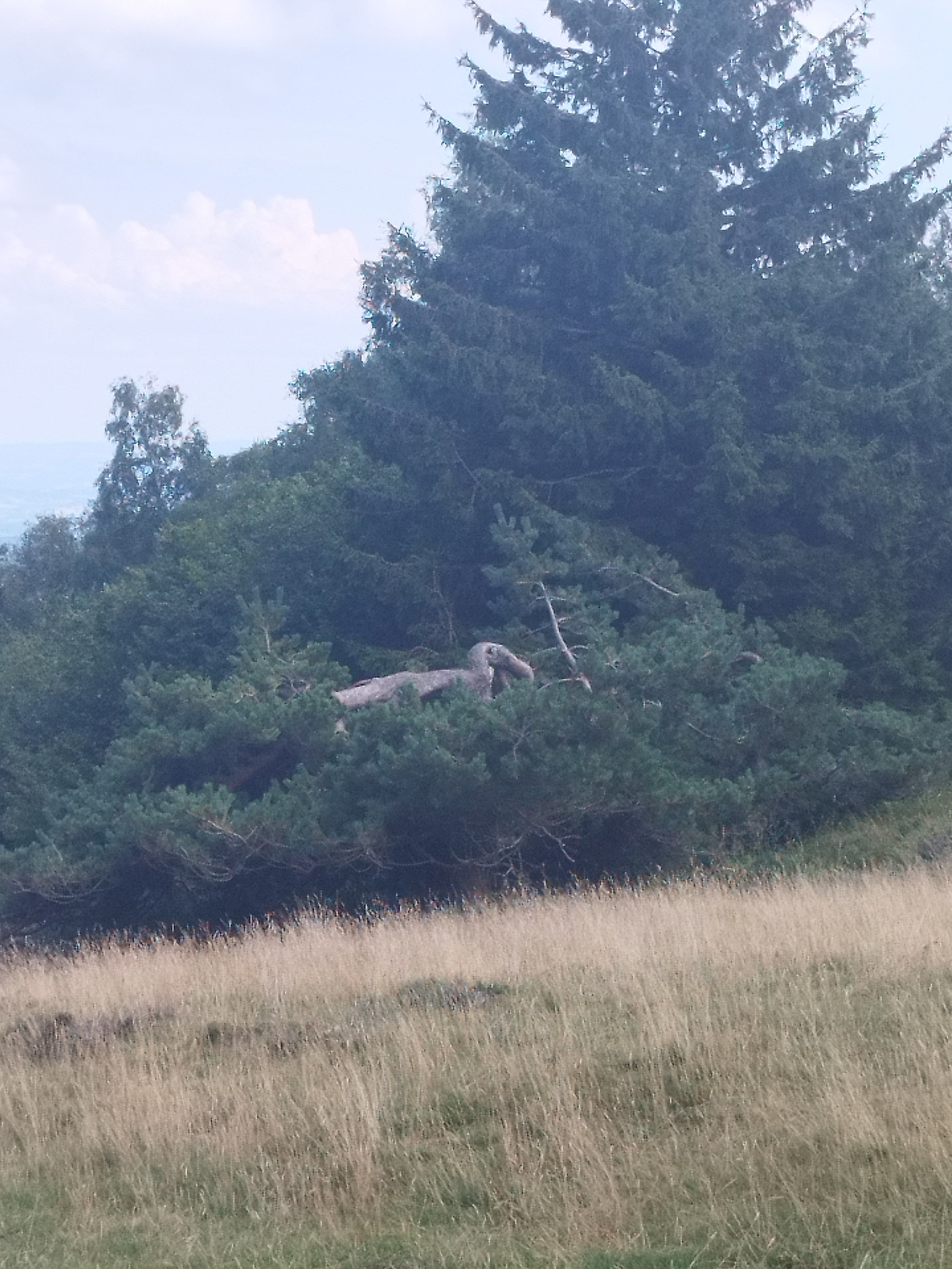 Photo n° 5 de l'avis de LIBERTE.H fait le 15/08/2023 à 20:29
