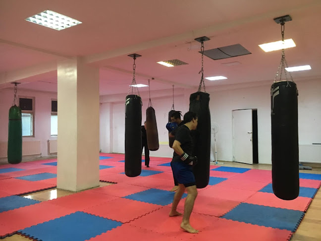 Opinii despre Beyond Martial Arts în <nil> - Sala de Fitness