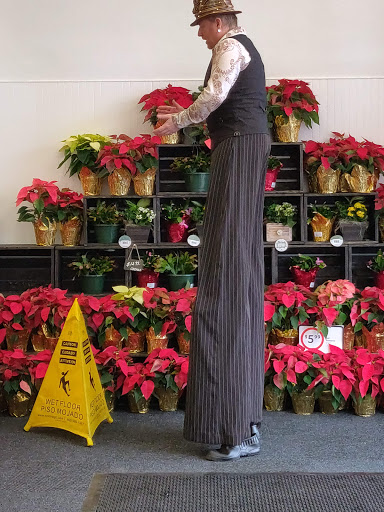 Grocery Store «Winn-Dixie», reviews and photos, 36348 FL-54, Zephyrhills, FL 33541, USA