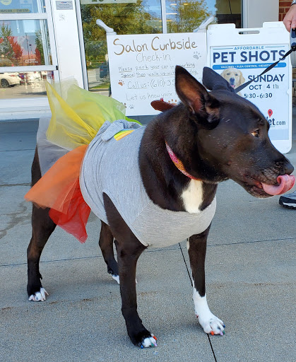 Pet Supply Store «PetSmart», reviews and photos, 600-800 Hatton Dr, Glen Mills, PA 19342, USA