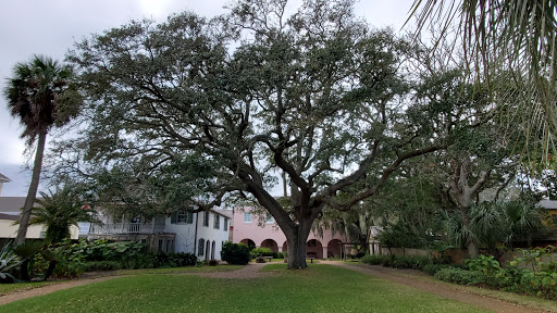 Museum «Gonzalez-Alvarez House», reviews and photos, 14 St Francis St, St Augustine, FL 32084, USA