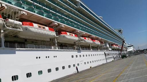 Southampton Cruise Transfers & Tours