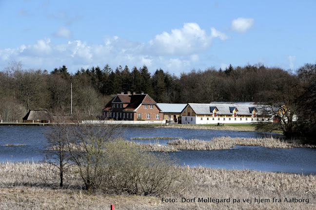 Anmeldelser af Dorf Møllegaard i Kjellerup - Museum