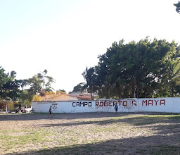 Green Revolution Field photo