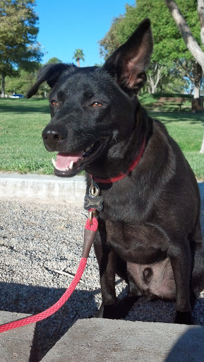 Park «Rainbow Family Park», reviews and photos, 7151 W Oakey Blvd, Las Vegas, NV 89117, USA