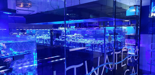 Pet Store «Forest Lake Pets», reviews and photos, 120 Lake St N, Forest Lake, MN 55025, USA