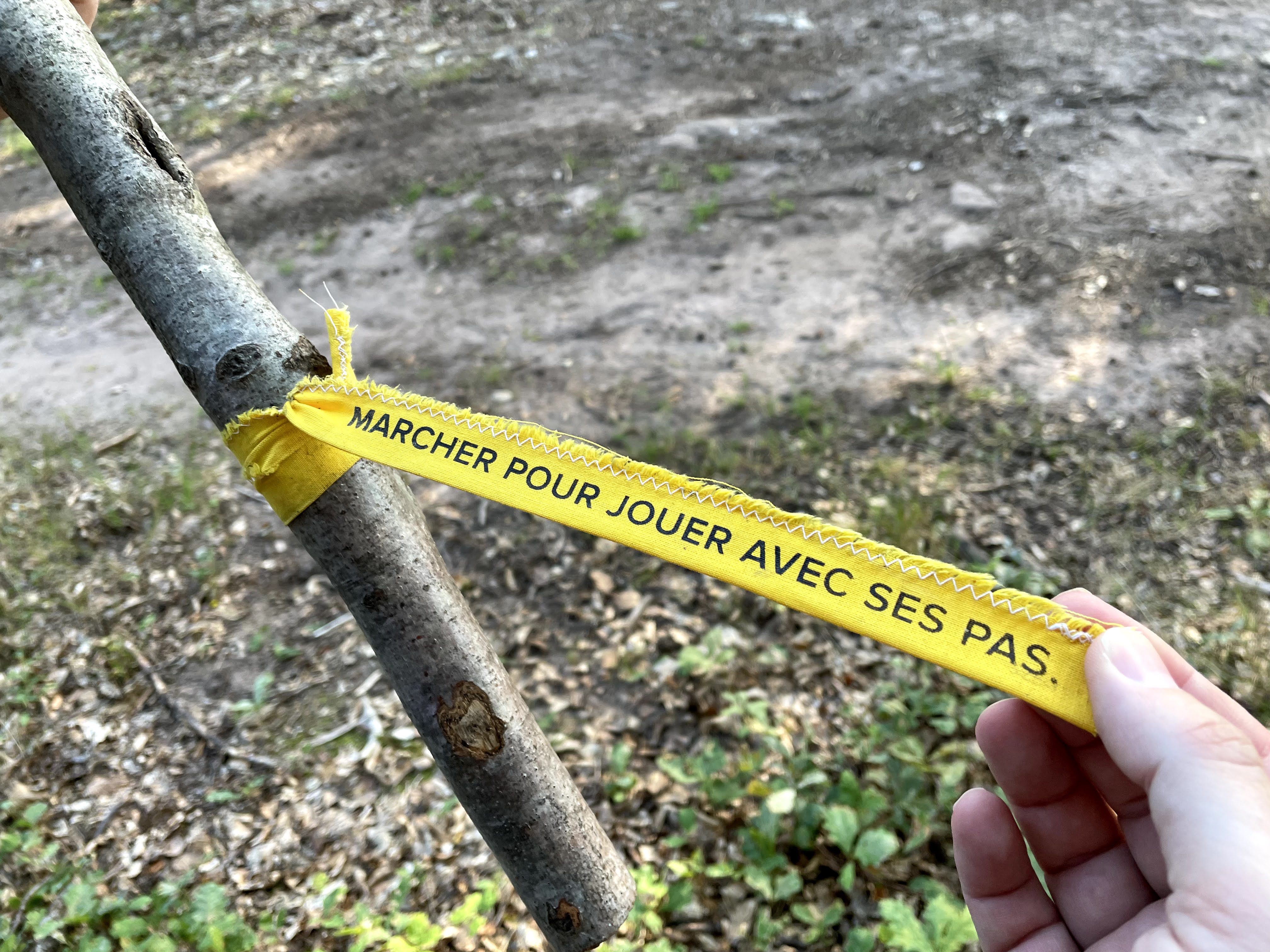 Photo n° 12 de l'avis de Tobi.s fait le 12/09/2021 à 23:40