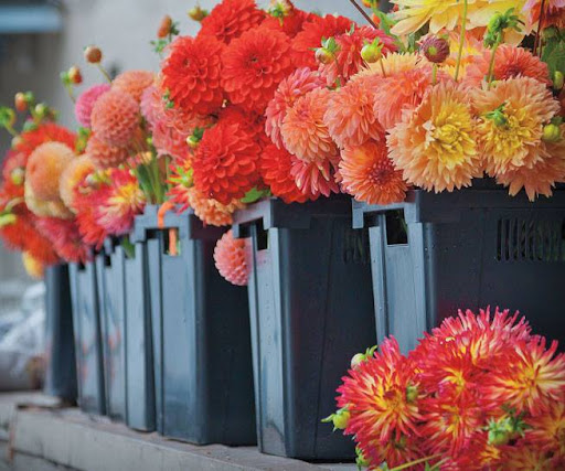 Gift Shop «Highland Flowers & Gifts», reviews and photos, 3 Church St, Vernon Township, NJ 07462, USA