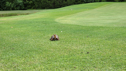 Golf Course «Highland Rim Golf Course», reviews and photos, 1725 New Hope Rd, Joelton, TN 37080, USA