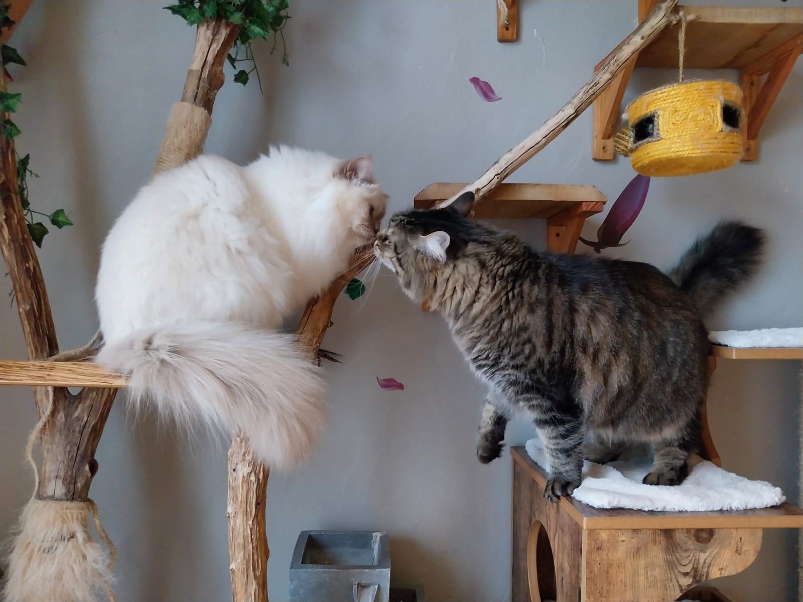 Photo n° 1 de l'avis de Alexandra.a fait le 16/12/2023 à 23:01