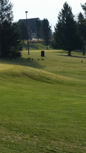 Golf Course «Manor Valley Golf Course», reviews and photos, 2095 Denmark Manor Rd, Export, PA 15632, USA