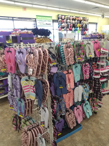 Dollar Store «Dollar Tree», reviews and photos, 1312 Woodward Ave, Muscle Shoals, AL 35661, USA