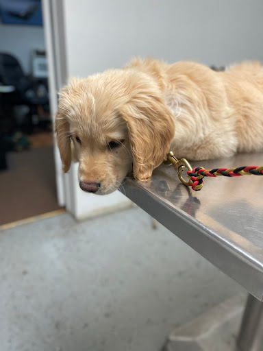 Clarksville Veterinary Clinic image