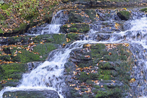 Pet Store «Abrams and Weakley General Store for Animals», reviews and photos, 3963 N 6th St, Harrisburg, PA 17110, USA