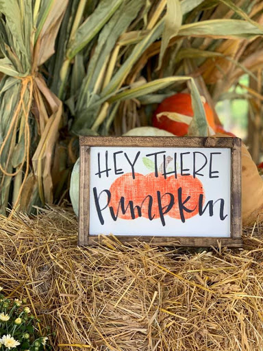 Tourist Attraction «Still Family Farm, LLC», reviews and photos, 5630 Macland Rd, Powder Springs, GA 30127, USA