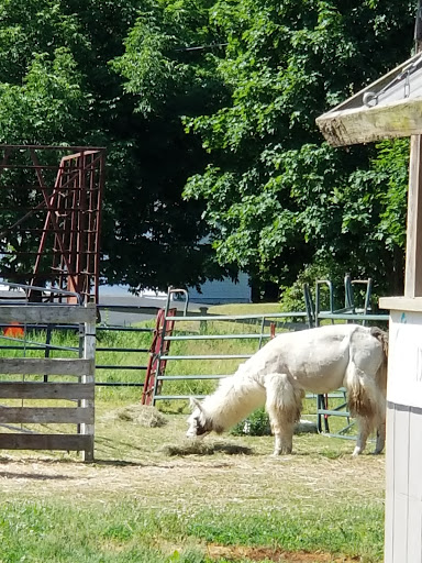 Farm «Dakota Ridge Farm», reviews and photos, 189 E High St, Ballston Spa, NY 12020, USA
