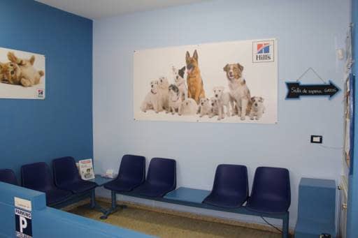 Centro Veterinario Pintor Colmeiro en Vigo